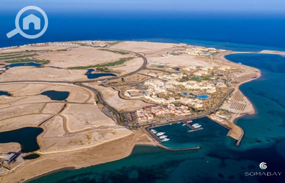 10 Screenshot_27-2-2024_144834_. jpeg