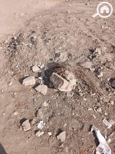 أرض سكنية  للبيع في طنطا، الغربية - 0cdd2384-09d8-4824-96ce-91817b43a175. jpg