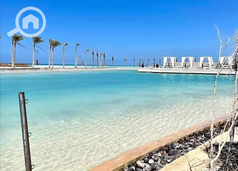 4 567521096_1147887130820173_4904136718584703885_n. jpg