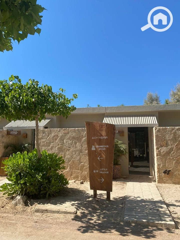 8 578811409_1356890222583114_6434173125977321712_n. jpg