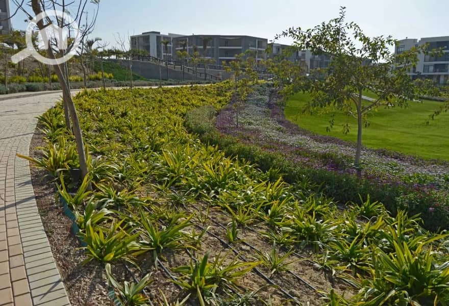 9 ce9f3475-b43b-4b0e-a014-574aaee144bd. jpg