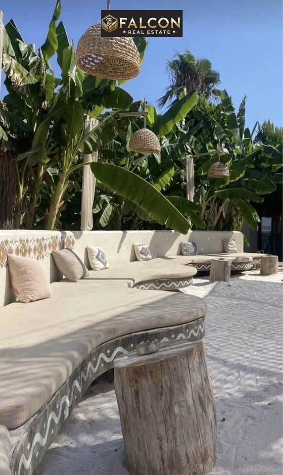 8 587112076_2043173376440021_7200637707653442440_n. jpg