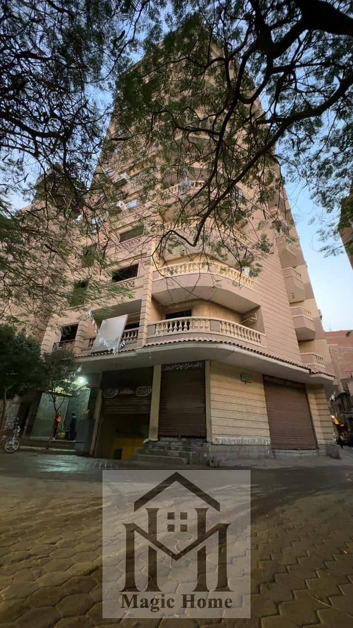 11 40467fe8-9a40-4b37-a6f3-d79e62aaa335. jpg