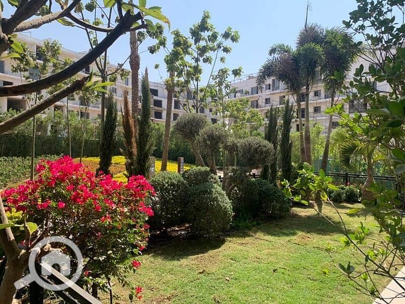 4 WhatsApp Image 2025-11-21 at 4.39. 18 PM. jpeg