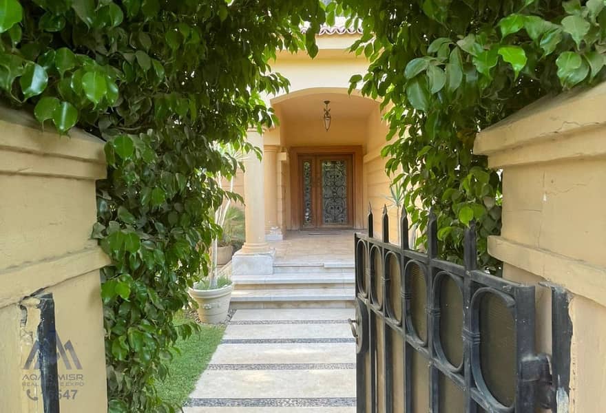 4ba394fe-489c-4f3d-bb02-9ff8ce413b01. jpg 4ba394fe-489c-4f3d-bb02-9ff8ce413b01. jpg