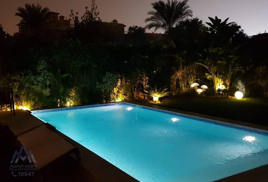 2 2b18270a-4472-43be-914b-c4c2ee3b07b5. jpg