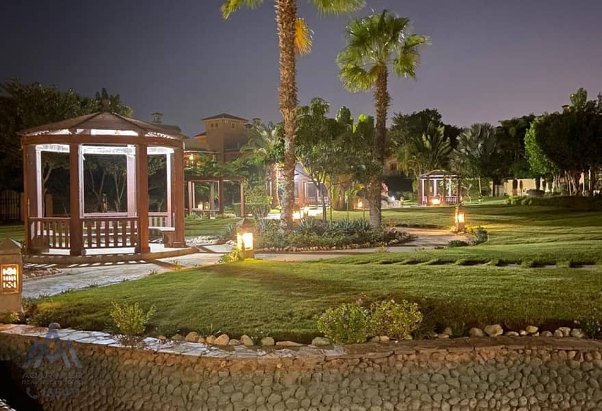 6 230e3fdd-bdf6-46d4-897e-d9bfaa732284. jpg