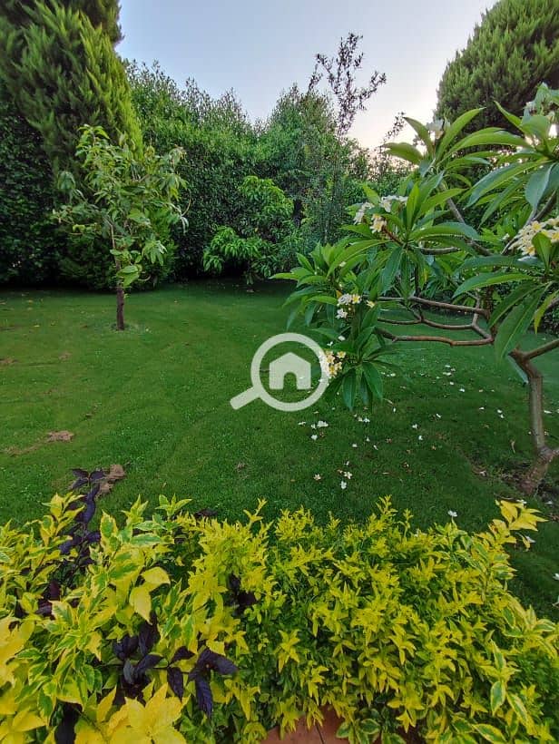 8 17d3aad7-1944-4814-8a1d-7ead69dfaf6d. jpg