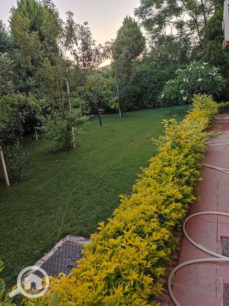 11 97d9d7b0-b820-4374-a5ac-8a981004edd3. jpg