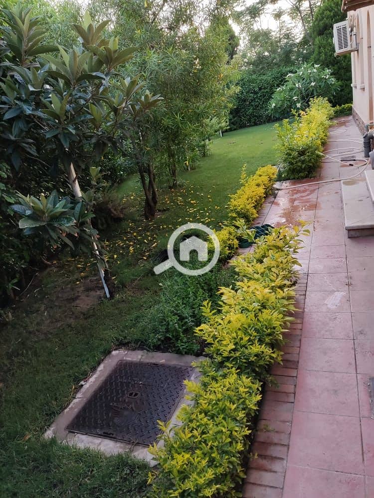 13 528dd84e-798c-4a1f-bd6c-5c441787f4dc. jpg