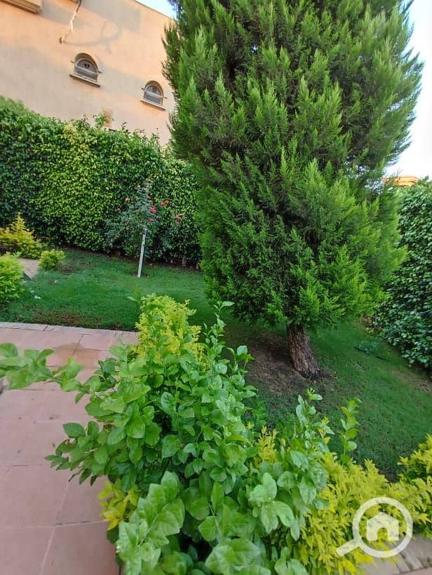 17 851015ef-0fe8-4971-af0b-bcef040d07f2. jpg