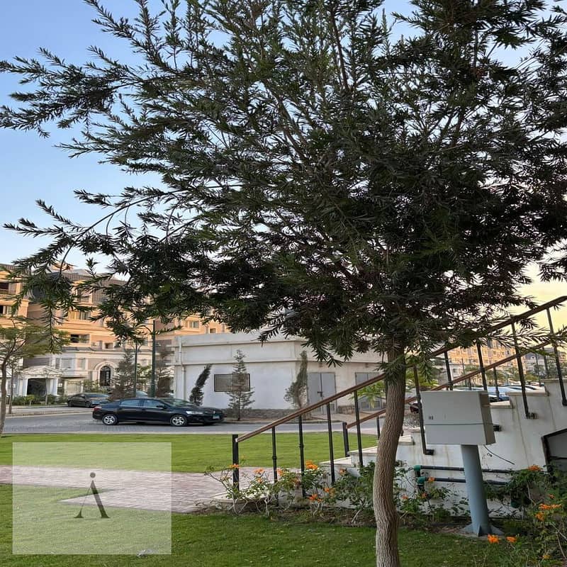 4 WhatsApp Image 2025-10-23 at 3.25. 28 PM. jpeg