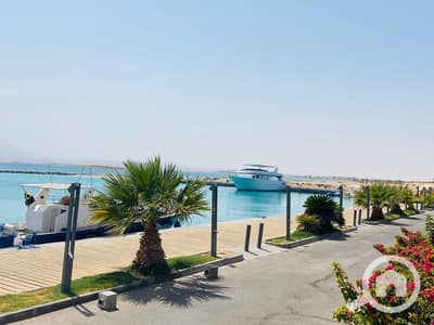 1 Bedroom Apartment for Sale in Soma Bay, Red Sea - WhatsApp Image 2025-07-05 at 15.38. 50_f6d8cf01. jpg