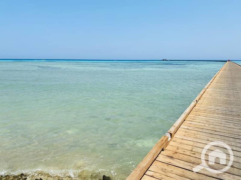 11 WhatsApp Image 2025-07-05 at 15.38. 52_33334b7d. jpg