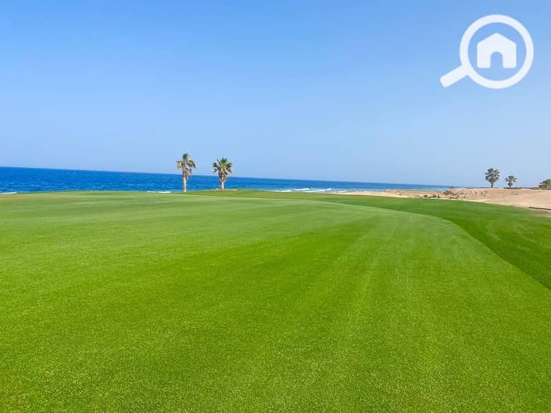 13 WhatsApp Image 2025-07-05 at 15.38. 53_ba56458b. jpg