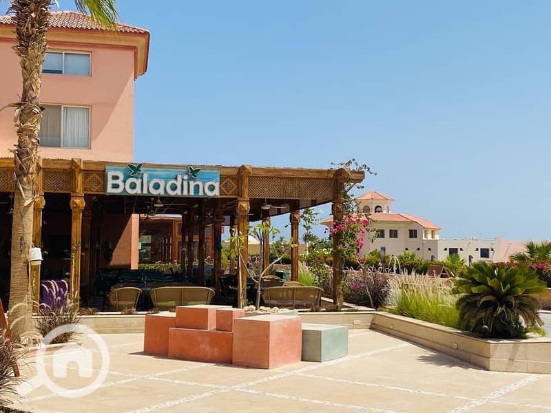 15 WhatsApp Image 2025-07-05 at 15.38. 54_70e509f7. jpg