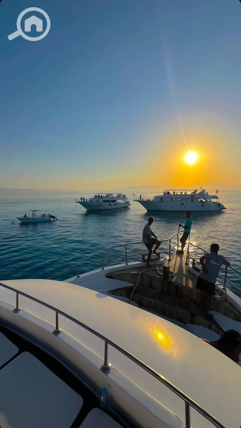 19 WhatsApp Image 2025-09-25 at 14.54. 20_d059330f. jpg