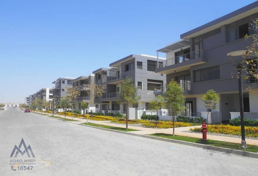 5 78938884-4e26-4fa0-989d-011d752f62ce. jpg