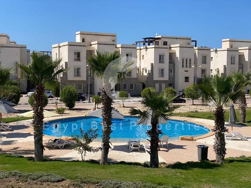 465093235. jpg 465093235. jpg