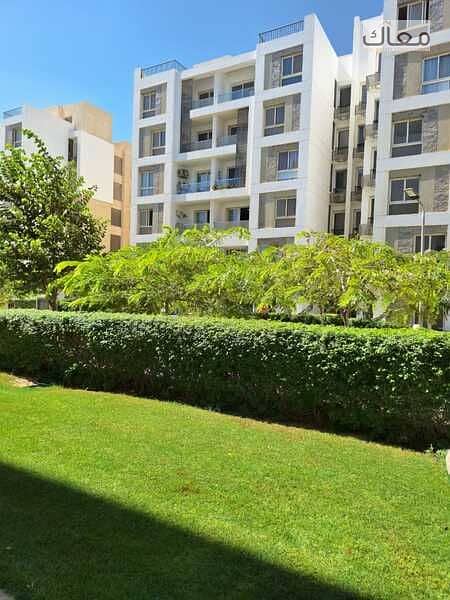 8 7bb7c50b-369f-4cc9-80ae-bce94b79ec76. jpg