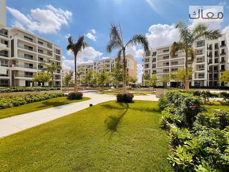 7 4284c863-a169-4ab1-a449-ca8687b2ebdf. jpg