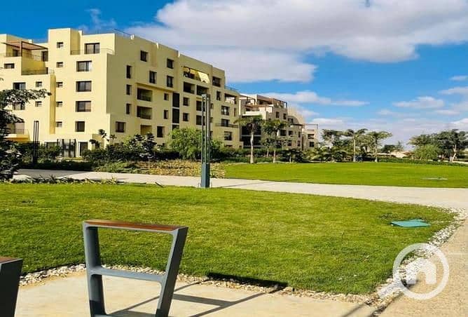 5 8080727-487beo. jpg