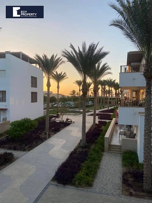 8 530828624_1433682681187894_5239822623223067347_n. jpg