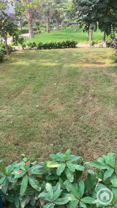 2 Bedroom Apartment for Rent in Madinaty, Cairo - 1001402465. jpg