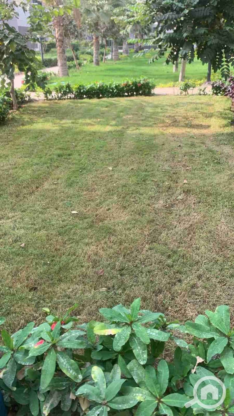 1001402465. jpg 1001402465. jpg