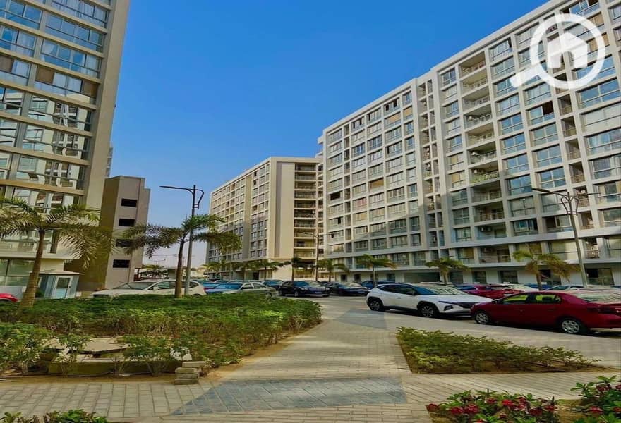 11 ان قطاميه 113. jpg