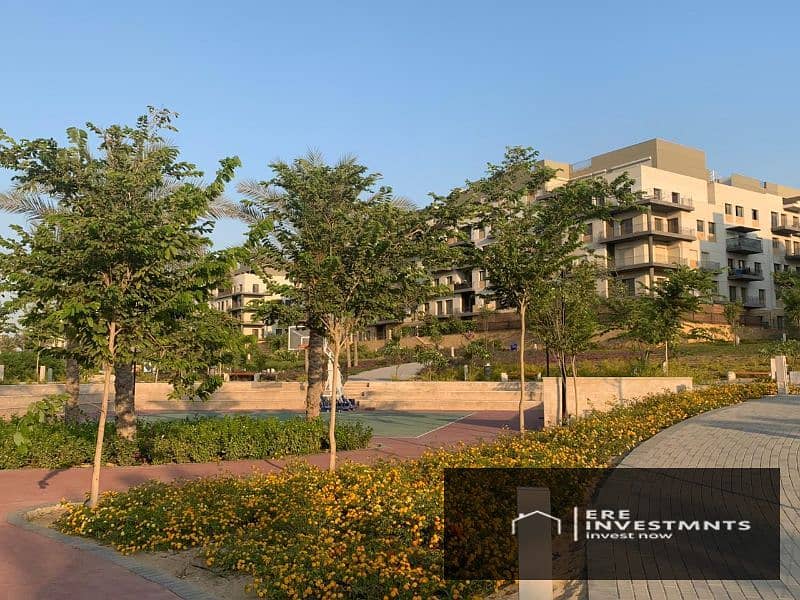 6 5ea12460-d67f-4a54-ad91-47abd63ed410. jpg