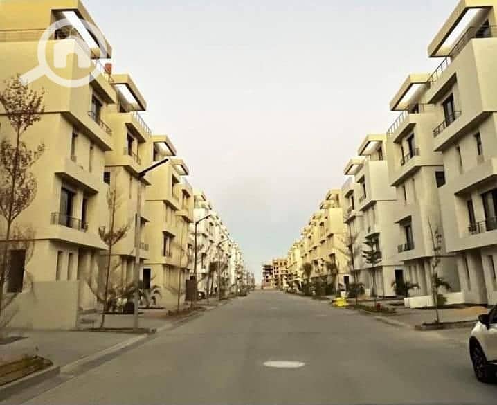 2 118c8e36-4e2d-4085-afd3-e61193732283. jpeg