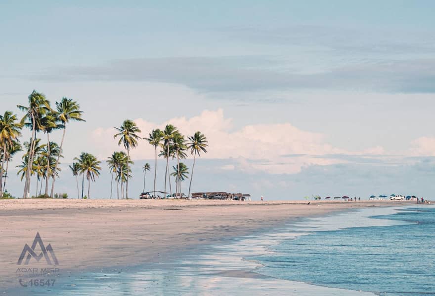 6 8ba02e6f-73d3-43f1-83da-b901ae7fb225. jpg