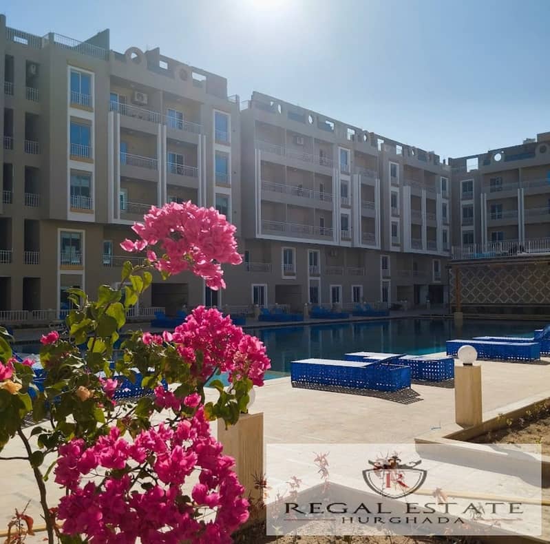 6 WhatsApp Image 2025-11-05 at 13.37. 37. jpeg