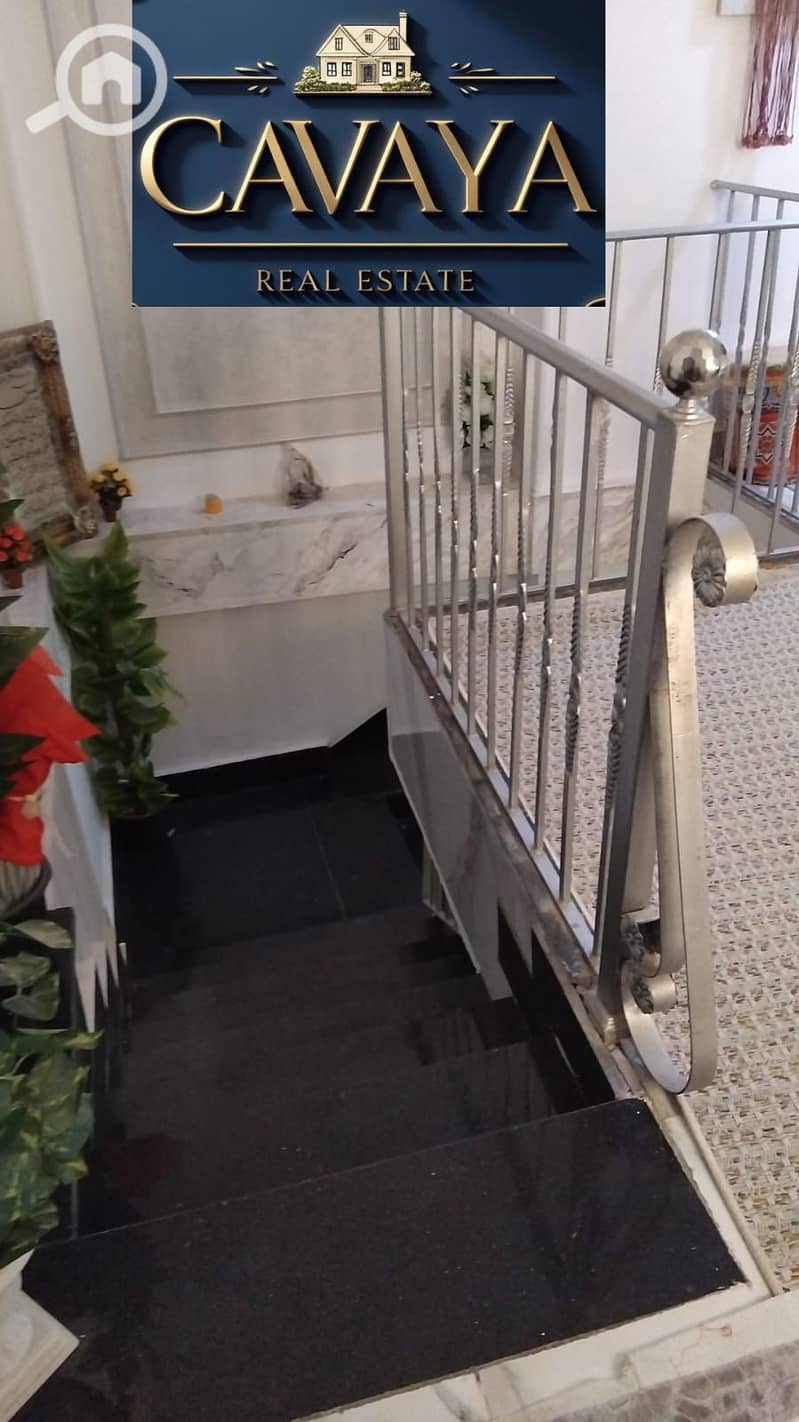 7 Untitled design (6). png