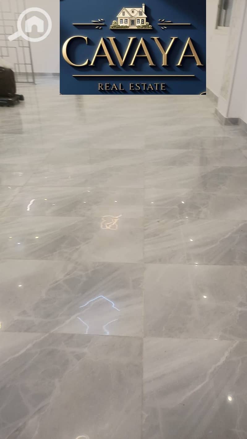 12 Untitled design (12). png