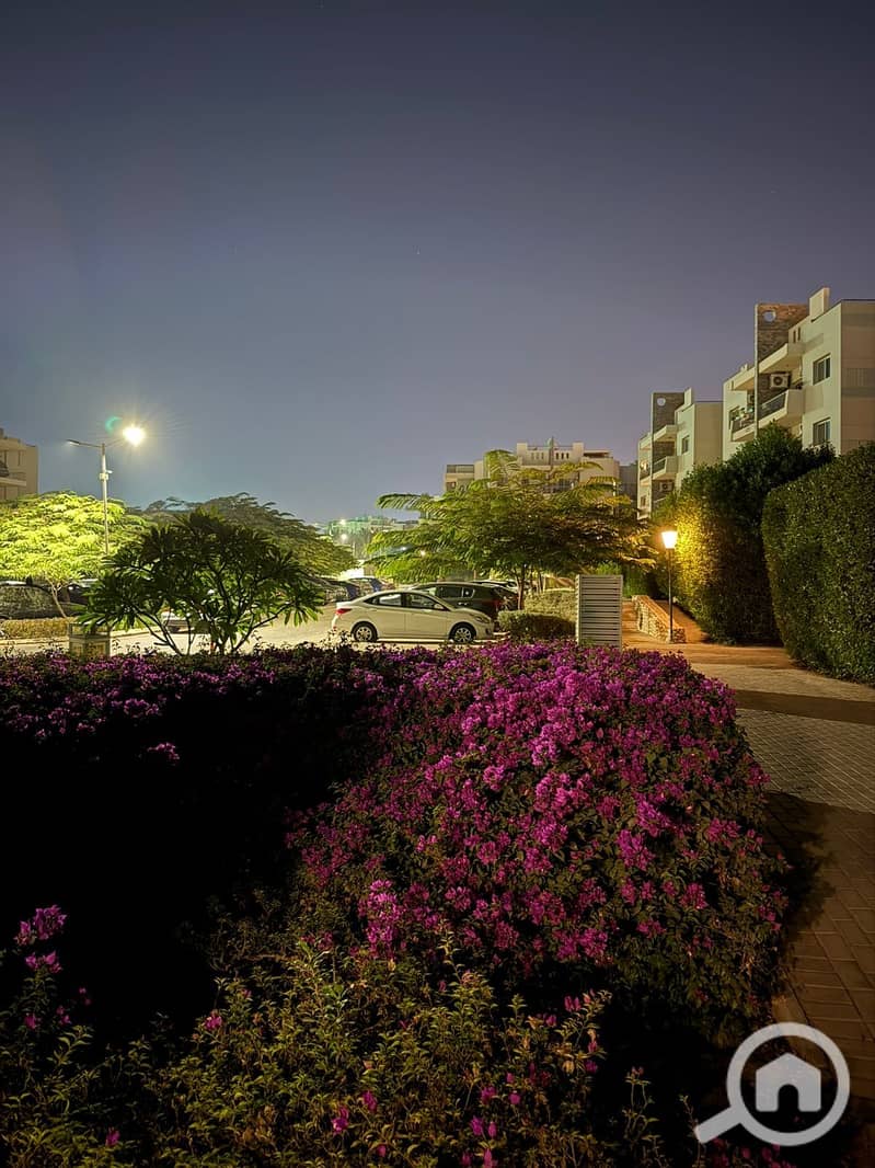 11 24a7b4d5-79a9-4d26-99fa-76fc8ec29c0e. jpeg