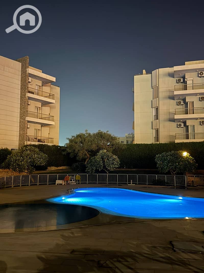 14 173cc502-caaa-45f3-bbc6-be3f72acc359. jpeg