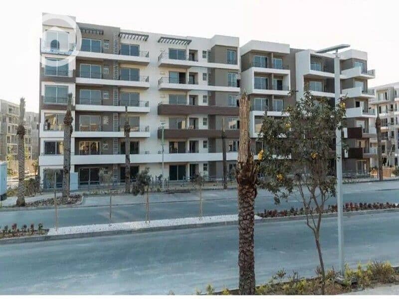 4 WhatsApp Image 2025-11-06 at 15.12. 27_a458fa0b. jpg