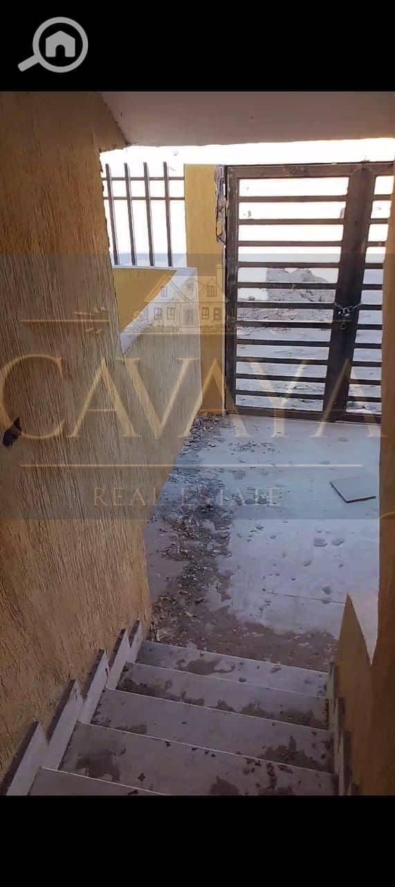 7 Untitled design (7). png