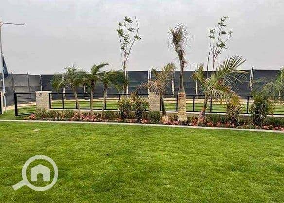 4 428597328_252258547930721_1317852884680095708_n. jpg