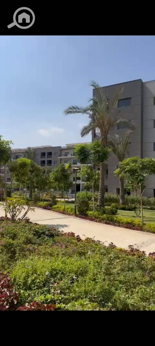 7 WhatsApp Image 2025-06-24 at 3.27. 13 AM (2). jpeg