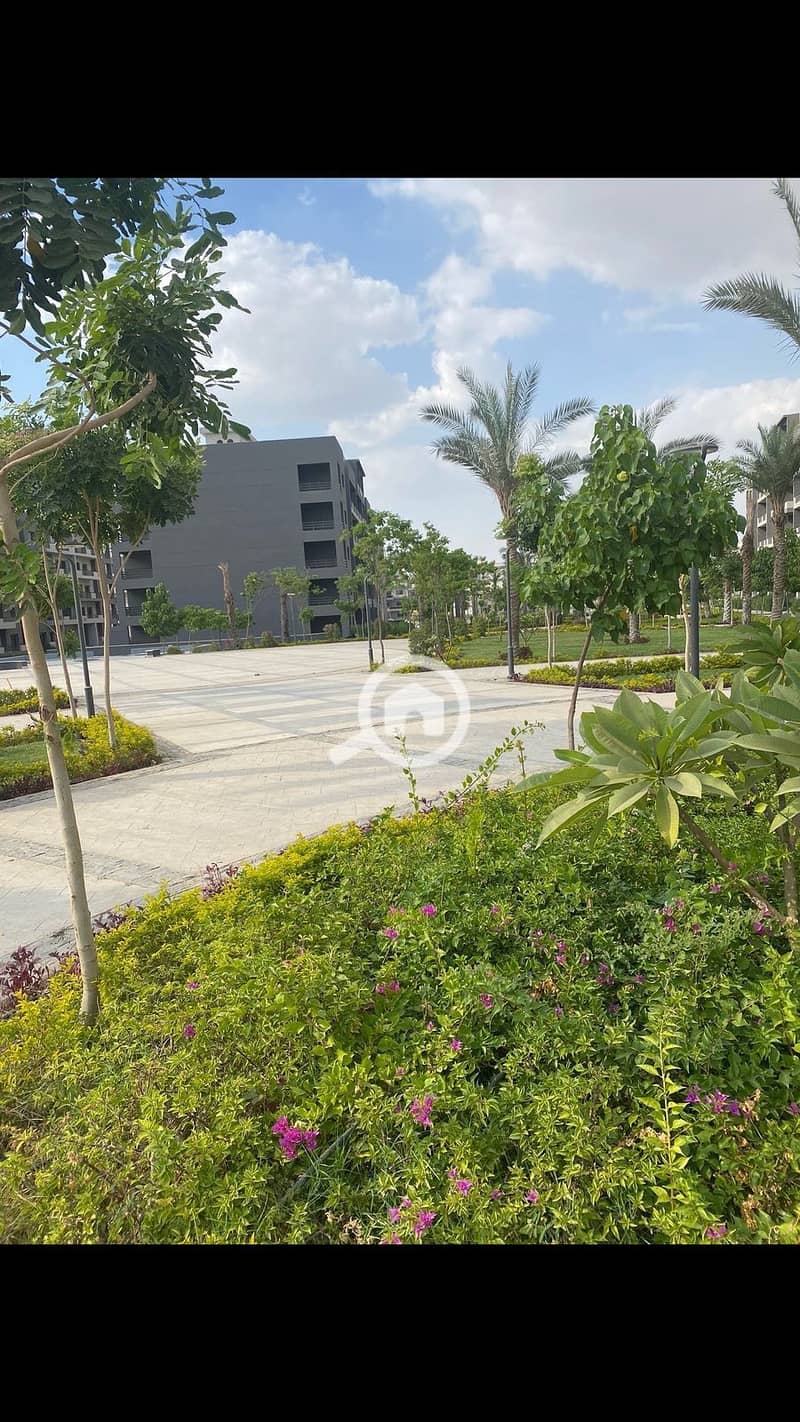 12 WhatsApp Image 2025-06-24 at 3.27. 14 AM (2). jpeg