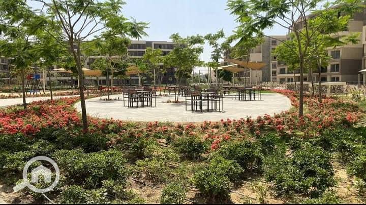 7 529691057_122119715216928156_1731839812994956713_n. jpg