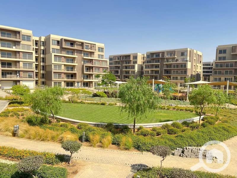 8 529667455_122119715168928156_1571325014360107886_n. jpg