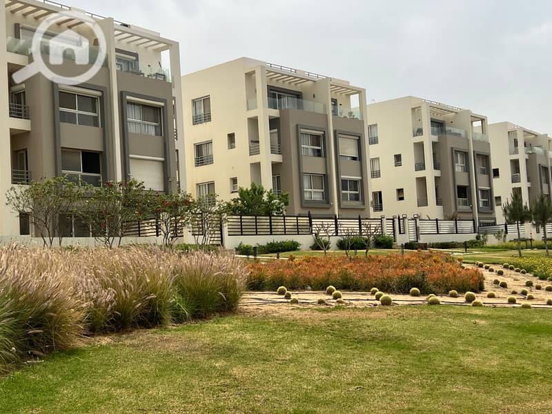 7 WhatsApp Image 2025-11-12 at 00.38. 28_dcd062fd. jpg