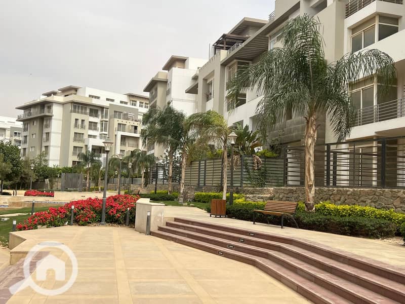 8 WhatsApp Image 2025-11-12 at 00.38. 28_f8207f65. jpg