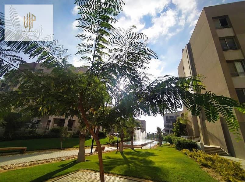 4 WhatsApp Image 2025-11-09 at 15.32. 39_7110de47. jpg