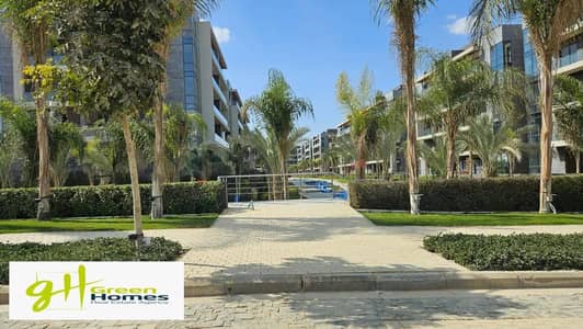 بنتهاوس 3 غرف نوم للبيع في القاهرة الجديدة، القاهرة - WhatsApp Image 2025-11-19 at 11.27. 37_546cb11c. jpg