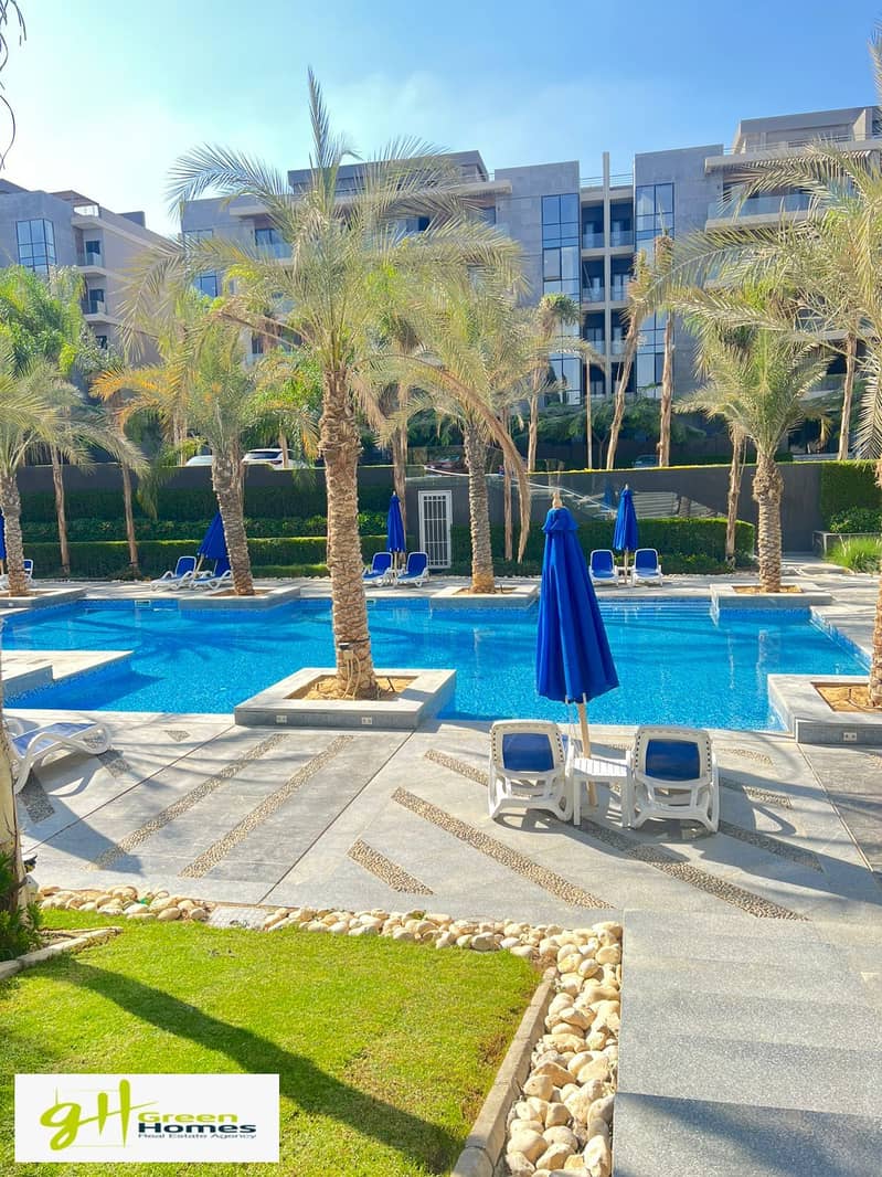 13 WhatsApp Image 2025-11-19 at 11.27. 54_faddcf46. jpg